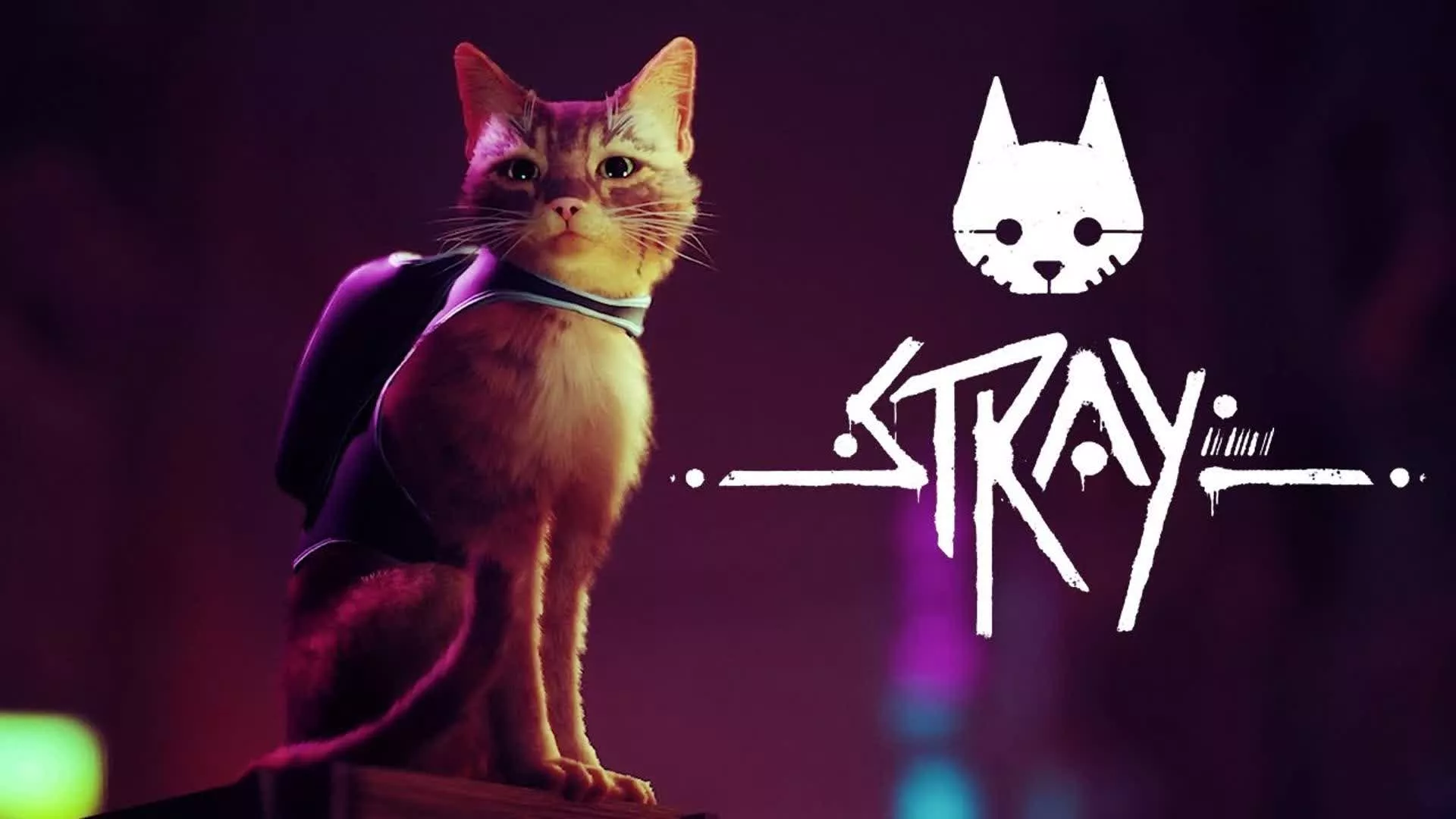 Stray – Cat Simulator